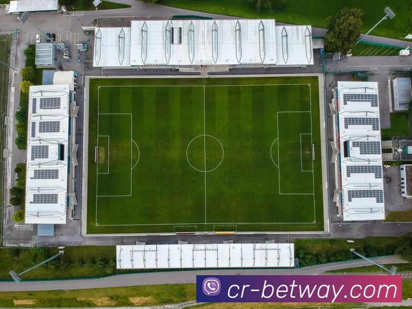 必威BETWAY官网全站App